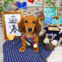 【山手店】2019年12月26日のワンちゃん達♪