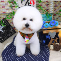 【山手店】2020年1月6日のワンちゃん達♪