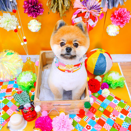 【池下店】2019年1月10日のワンちゃん達♪