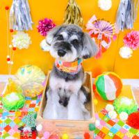 【池下店】2020年1月19日のワンちゃん達♪