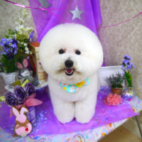 【山手店】2020年3月22日のワンちゃん達♪