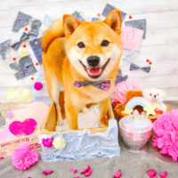 【池下店】2020年3月9日のワンちゃん達♪