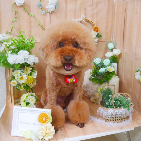 【山手店】2020年5月10日のワンちゃん達♪