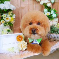 【山手店】2020年5月22日のワンちゃん達♪