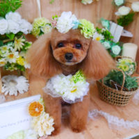 【山手店】2020年5月25日のワンちゃん達♪