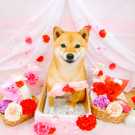 【池下店】2020年5月10日のワンちゃん達♪