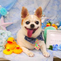 【山手店】2020年6月15日のワンちゃん達♪