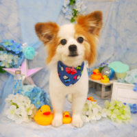 【山手店】2020年6月19日のワンちゃん達♪