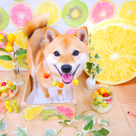 【池下店】2020年6月6日のワンちゃん達♪