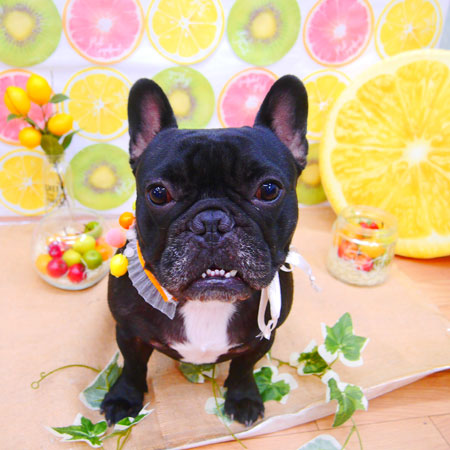 【池下店】2020年6月7日のワンちゃん達♪