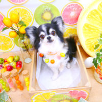 【池下店】2020年6月8日のワンちゃん達♪