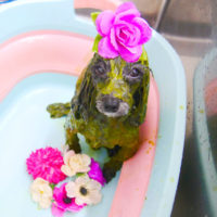 【池下店】2020年6月26日のワンちゃん達♪