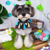 【山手店】2020年7月30日のワンちゃん達♪