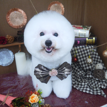 【山手店】2020年8月29日のワンちゃん達♪