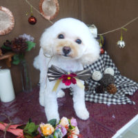 【山手店】2020年8月30日のワンちゃん達♪