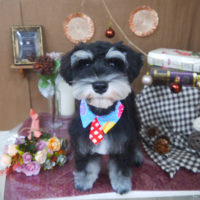 【山手店】2020年8月31日のワンちゃん達♪