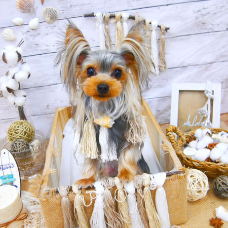 【池下店】2020年8月14日のワンちゃん達♪