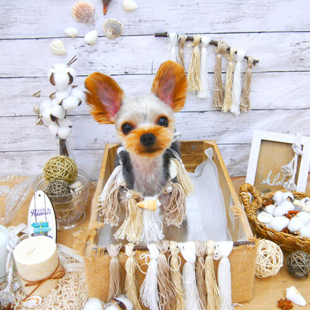 【池下店】2020年8月15日のワンちゃん達♪