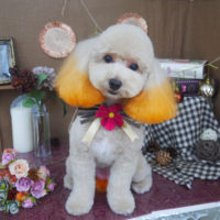 【山手店】2020年9月5日のワンちゃん達♪