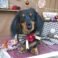 【山手店】2020年9月7日のワンちゃん達♪