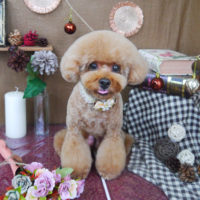 【山手店】2020年9月18日のワンちゃん達♪