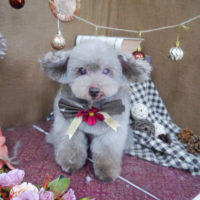 【山手店】2020年9月19日のワンちゃん達♪