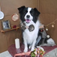 【山手店】2020年9月21日のワンちゃん達♪