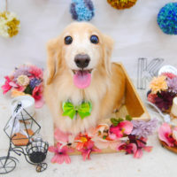 【池下店】2020年9月14日のワンちゃん達♪