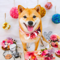 【池下店】2020年9月28日のワンちゃん達♪