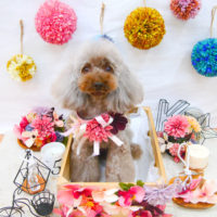 【池下店】2020年9月30日のワンちゃん達♪