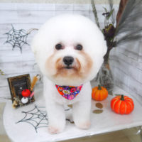 【山手店】2020年10月8日のワンちゃん達♪