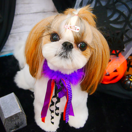 【池下店】2020年10月19日のワンちゃん達♪