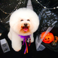 【池下店】2020年10月23日のワンちゃん達♪