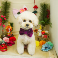 【本店】2021年1月7日のワンちゃん達♪