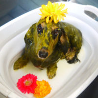 【本店】2021年1月9日のワンちゃん達♪