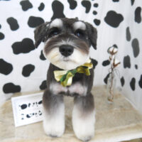 【山手店】2021年1月15日のワンちゃん達♪