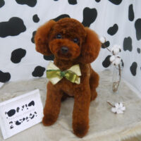 【山手店】2021年1月18日のワンちゃん達♪