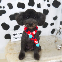 【山手店】2021年1月21日のワンちゃん達♪