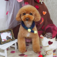 【山手店】2021年1月29日のワンちゃん達♪