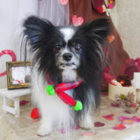 【山手店】2021年1月30日のワンちゃん達♪