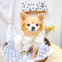 【池下店】2021年1月21日のワンちゃん達♪