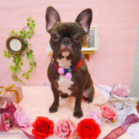 【池下店】2021年1月23日のワンちゃん達♪