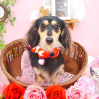 【池下店】2021年1月27日のワンちゃん達♪