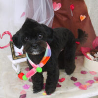 【山手店】2021年2月1日のワンちゃん達♪