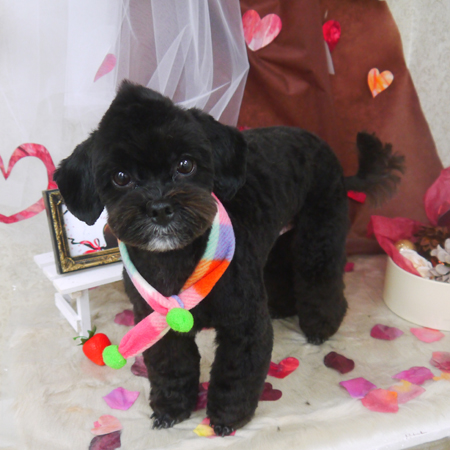 【山手店】2021年2月1日のワンちゃん達♪