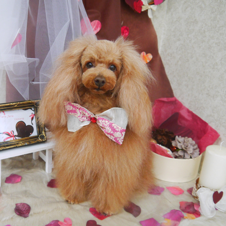 【山手店】2021年2月4日のワンちゃん達♪