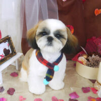 【山手店】2021年2月6日のワンちゃん達♪