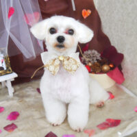 【山手店】2021年2月15日のワンちゃん達♪