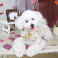 【山手店】2021年2月18日のワンちゃん達♪