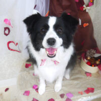 【山手店】2021年2月19日のワンちゃん達♪